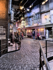 HarryPotter-21