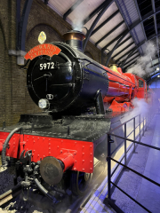 HarryPotter-8