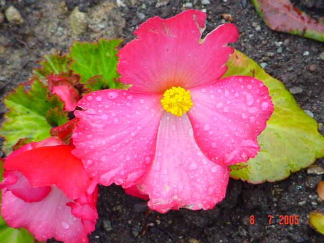 dsc02950_0