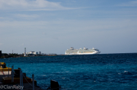 Cozumel-2016-1