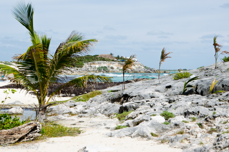 Cozumel-2016-12