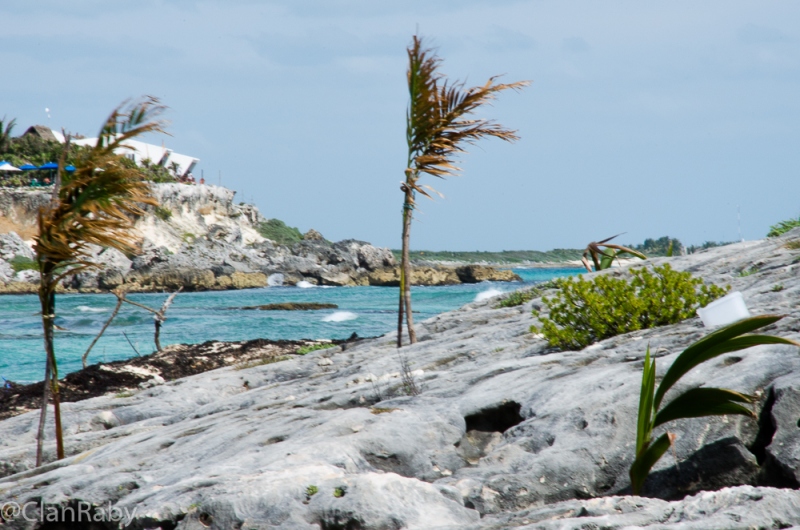 Cozumel-2016-13