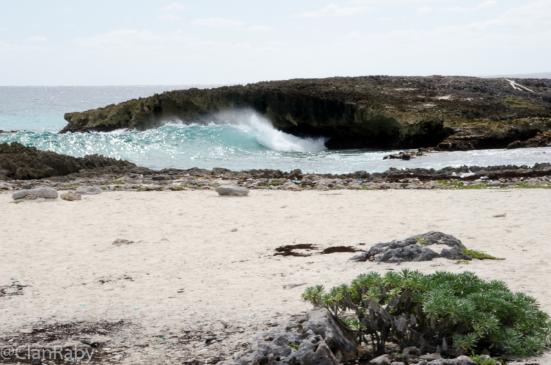 Cozumel-2016-15
