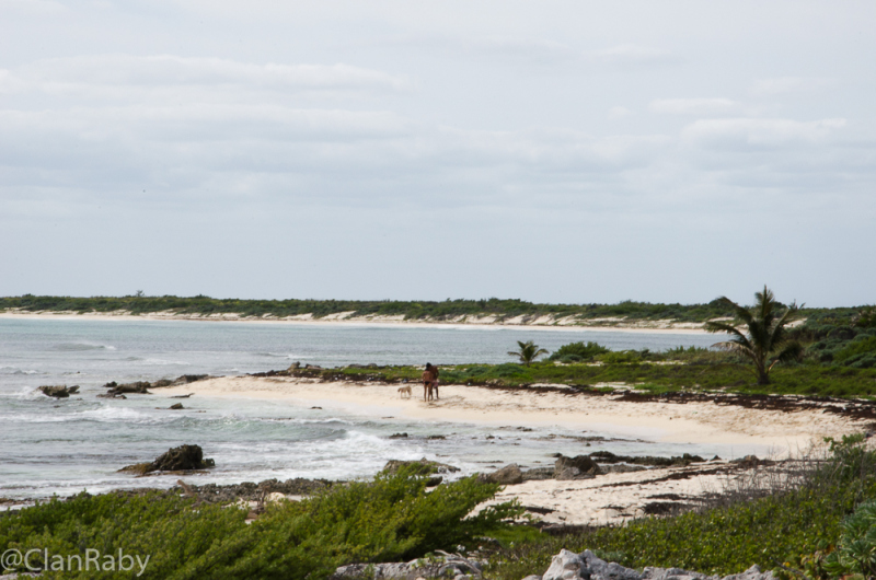 Cozumel-2016-18