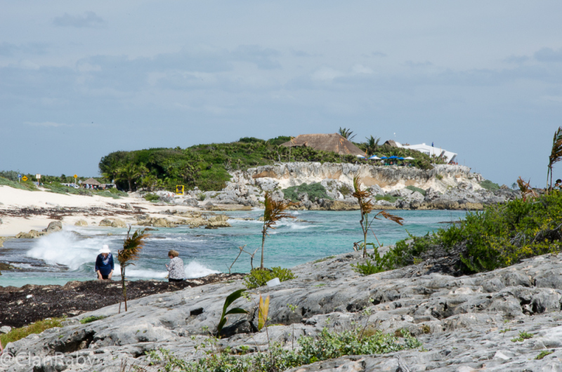 Cozumel-2016-8