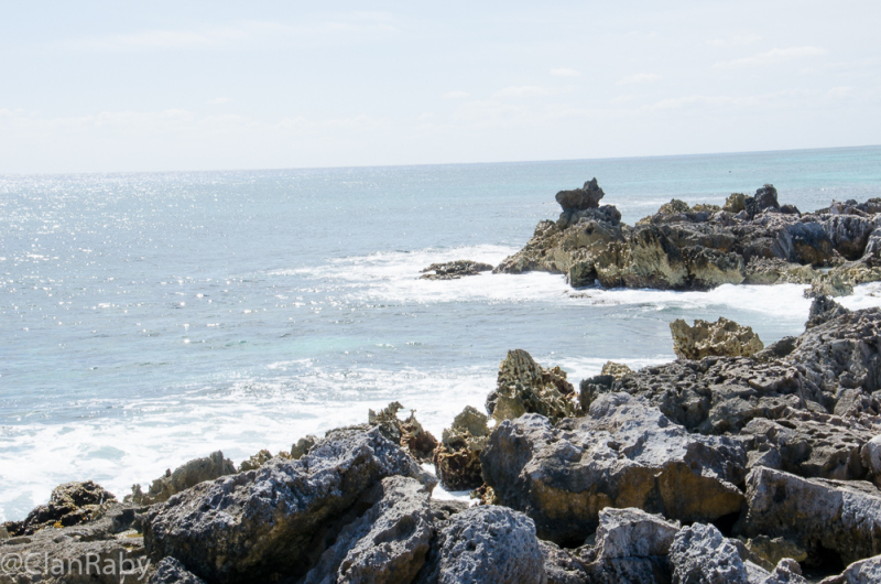 Cozumel-2016-9