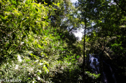 RiconDeLaVieja-18