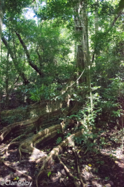 RiconDeLaVieja-19