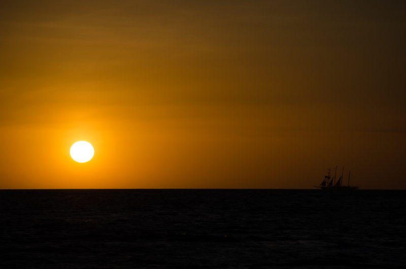 17dsc_0130