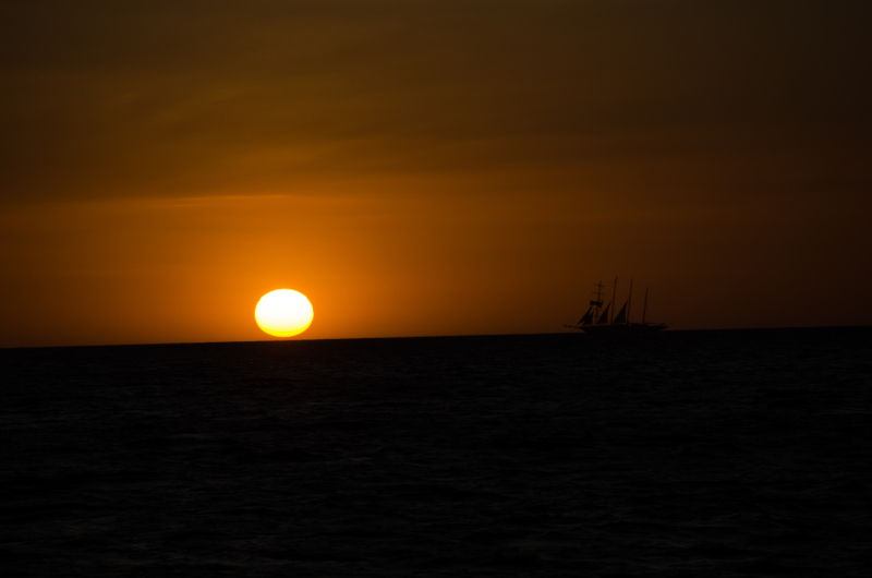 19dsc_0138