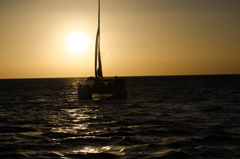 25dsc_0110