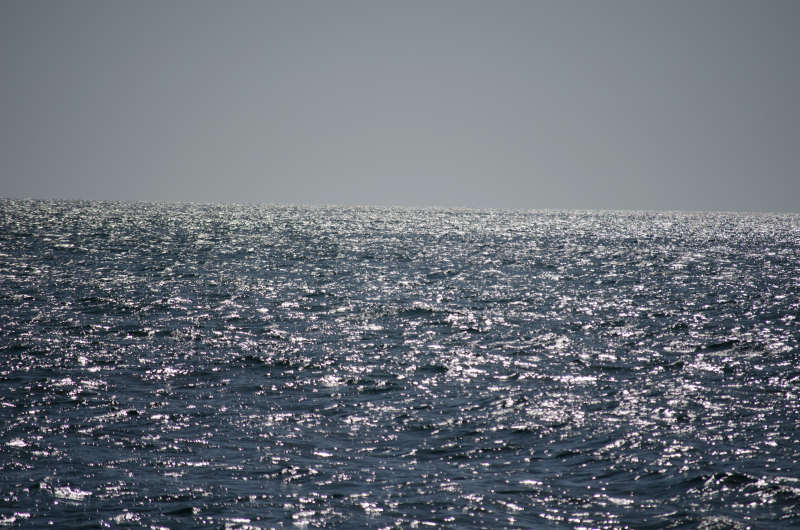 27dsc_0073