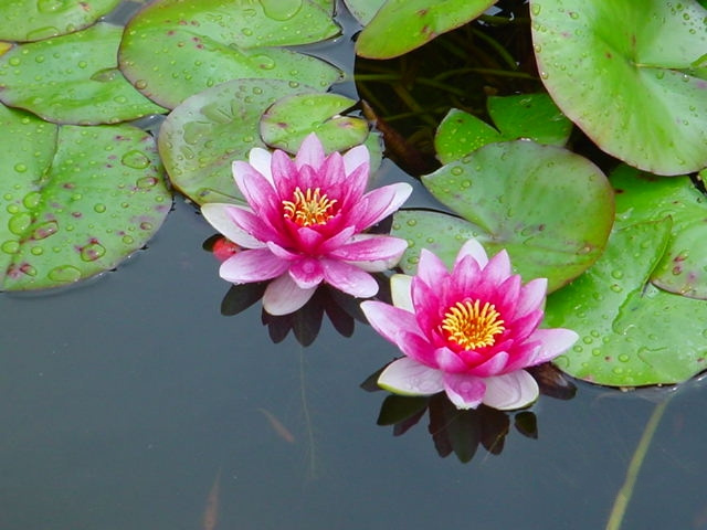 DSC03002NoDate