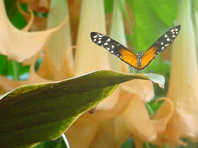 DSC03008NoDate