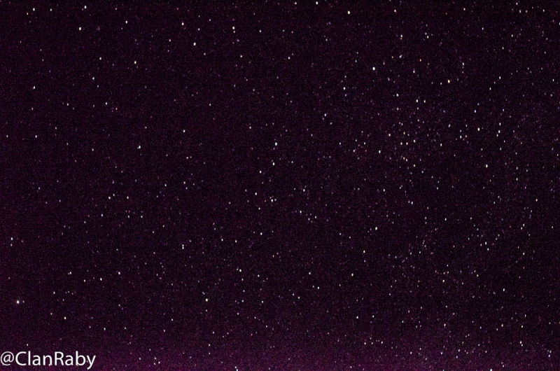 DSC_0502