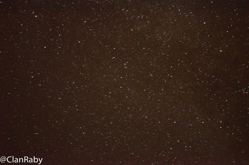 DSC_0717