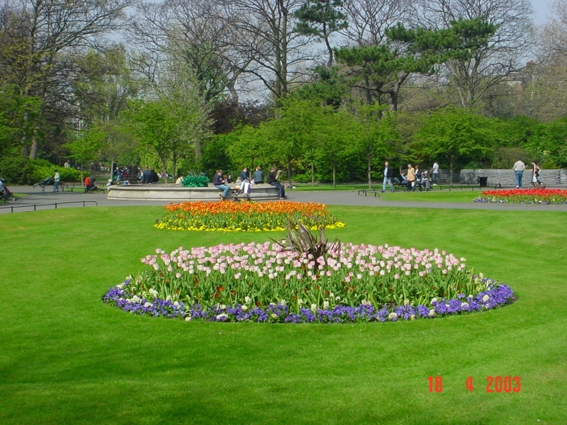 dsc00790