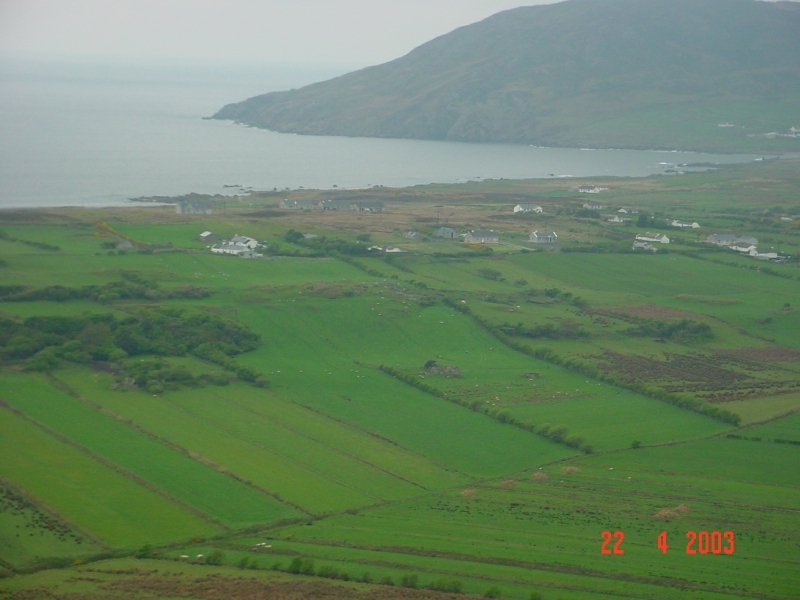 dsc00895