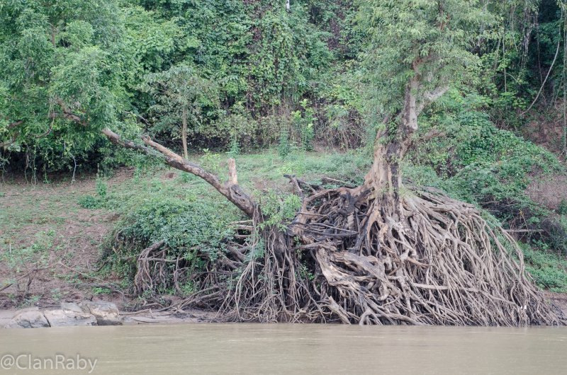 Lp-Mekong-7
