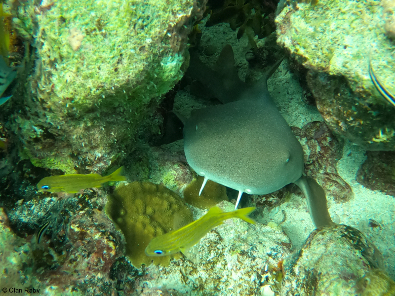 DCIM100GOPROGOPR3957.JPG