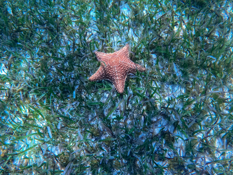 DCIM100GOPROGOPR0851.JPG