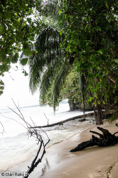 Panama-2023-S1-10