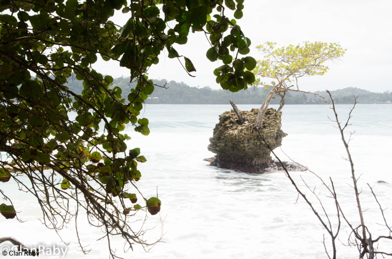 Panama-2023-S1-9