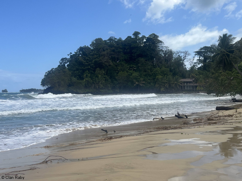 IMG_3232-1