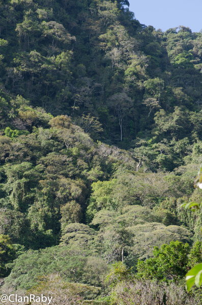 Panama2015-19.jpg