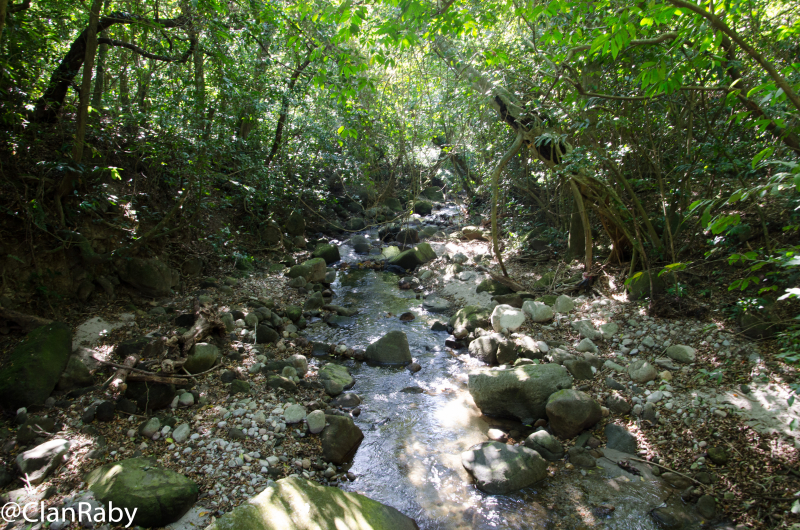 Panama2015-20.jpg