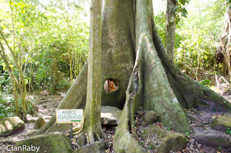 Panama2015-23.jpg