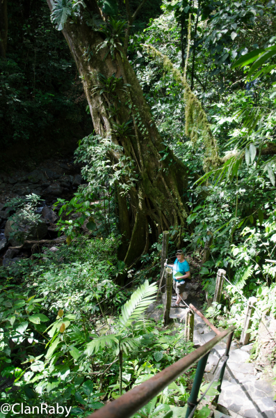 Panama2015-5.jpg