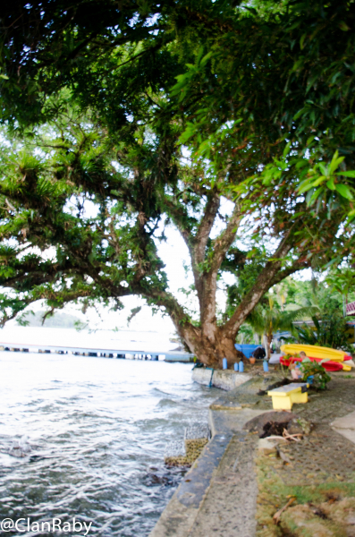 Panama2015-47