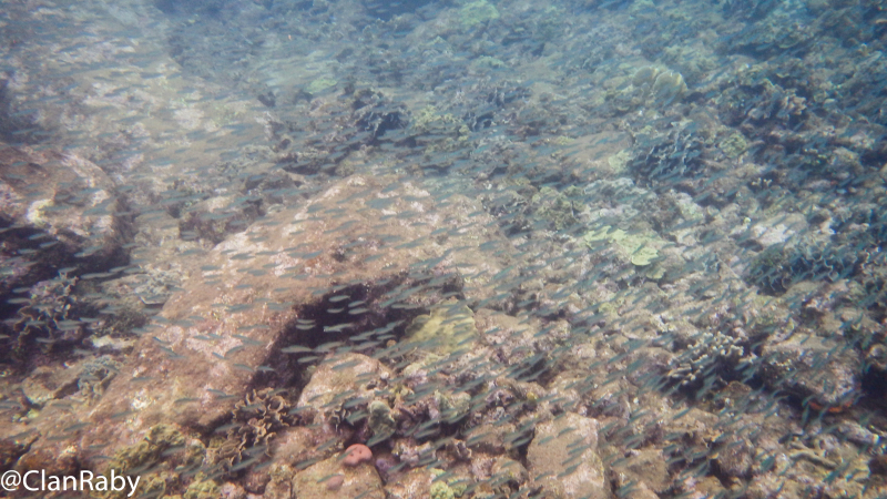 Panama2015-50