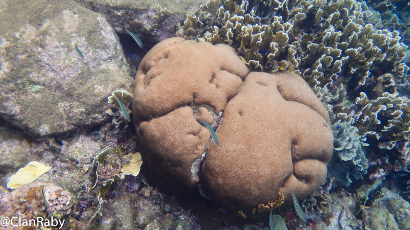 Panama2015-51