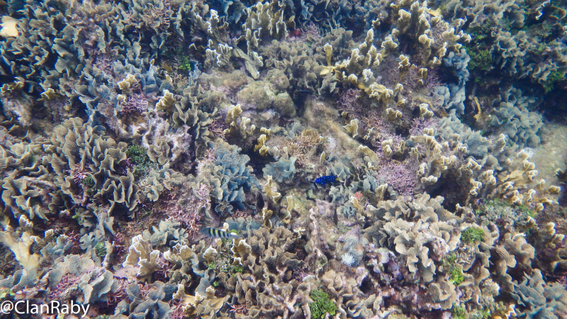 Panama2015-53