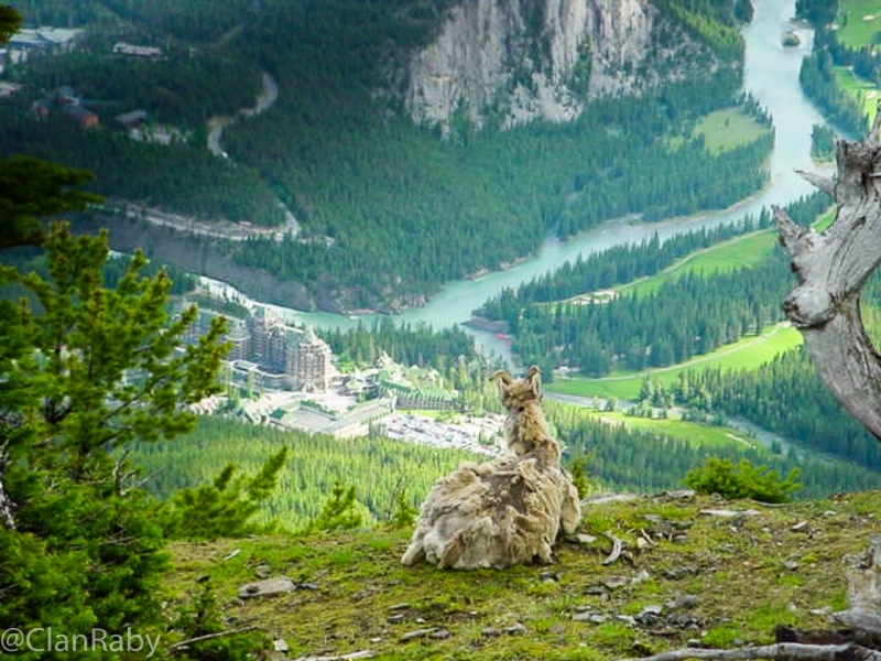 Banff-2