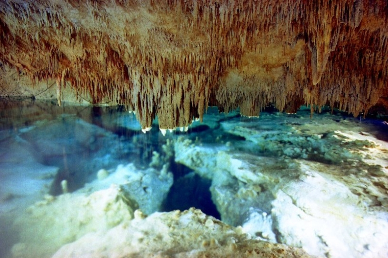p008a