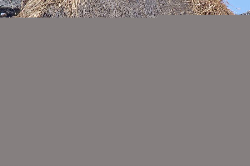 imgp3050