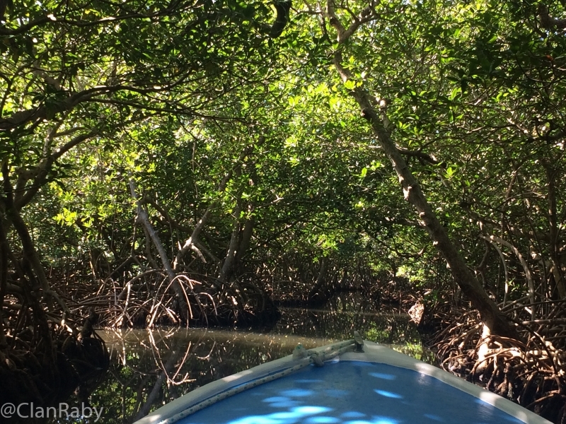 Roatan2018-51