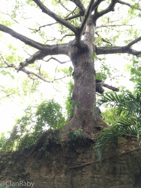 Roatan2018-56