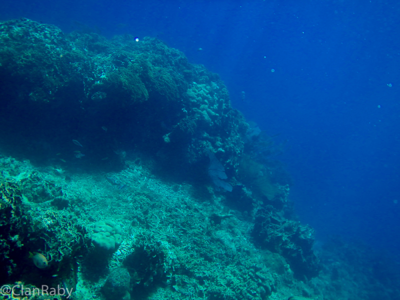 Roatan-2016-10