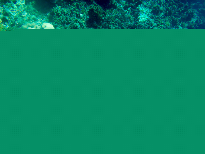 Roatan-2016-11
