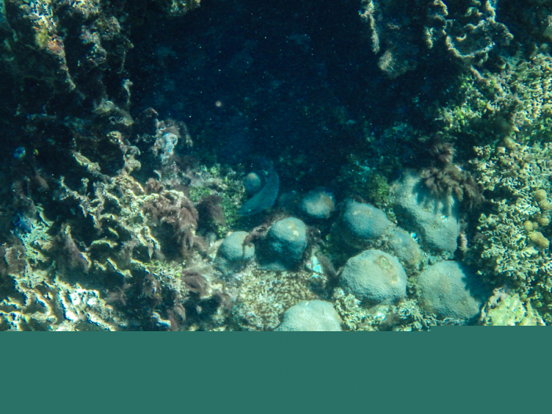 Roatan-2016-14