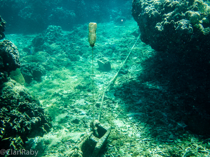 Roatan-2016-2