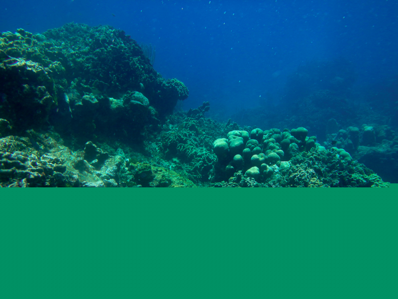 Roatan-2016-6