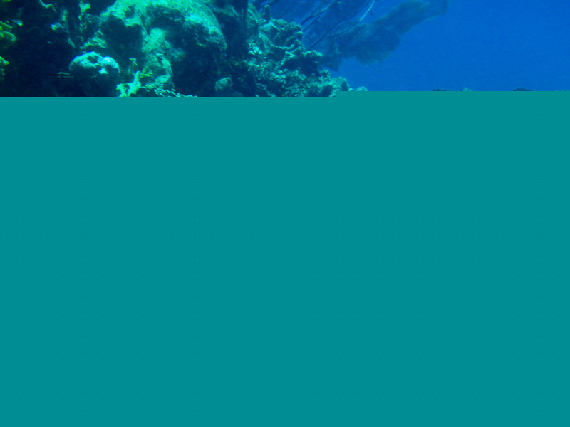 Roatan-2016-8