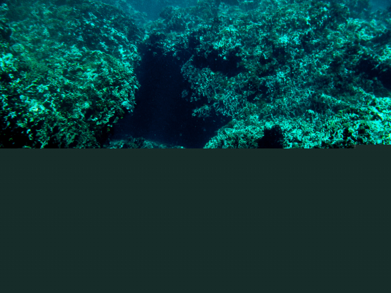 Roatan-2016-9