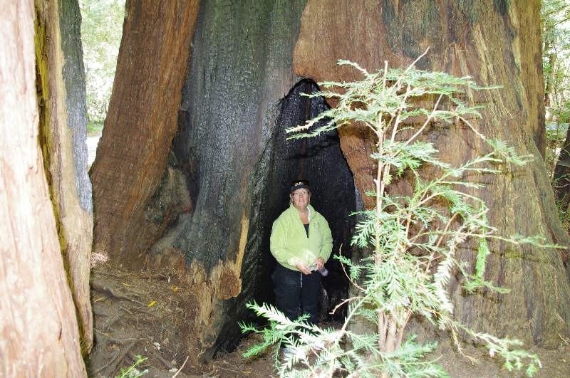 imgp0370
