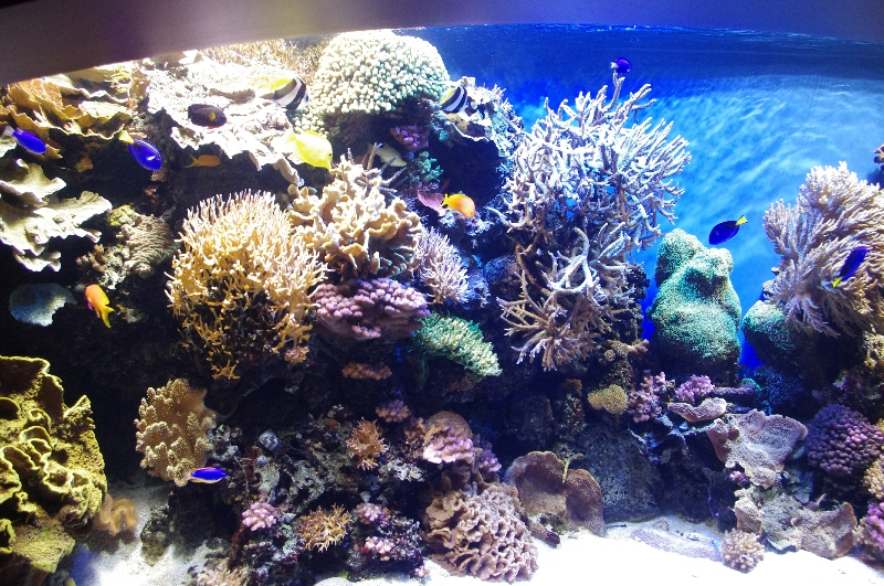 imgp0429